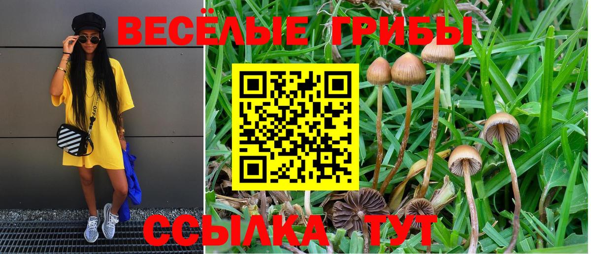 Галлюциногенные грибы прущие грибы Ижевск